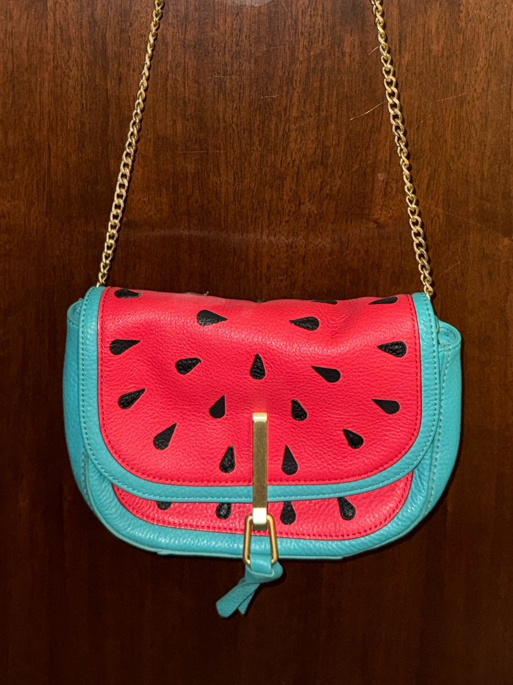 Vintage Leather Vera Bradley Watermelon crossbody/shoulder purse